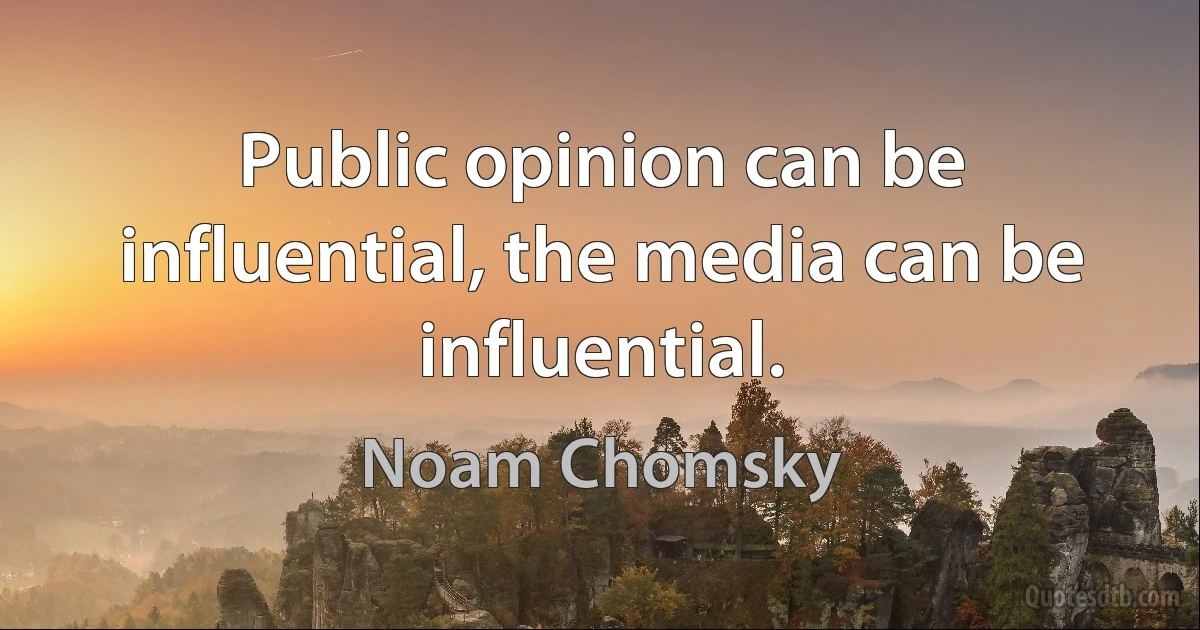 Public opinion can be influential, the media can be influential. (Noam Chomsky)