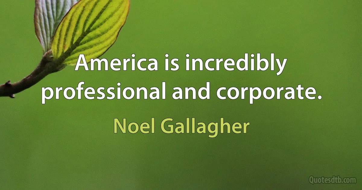 America is incredibly professional and corporate. (Noel Gallagher)