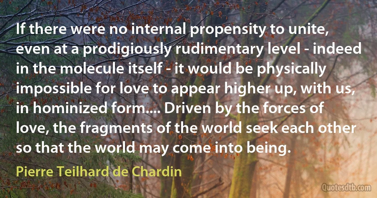 If there were no internal propensity to unite, even at a prodigiously rudimentary level - indeed in the molecule itself - it would be physically impossible for love to appear higher up, with us, in hominized form.... Driven by the forces of love, the fragments of the world seek each other so that the world may come into being. (Pierre Teilhard de Chardin)