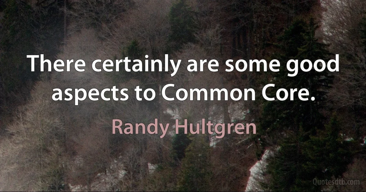 There certainly are some good aspects to Common Core. (Randy Hultgren)