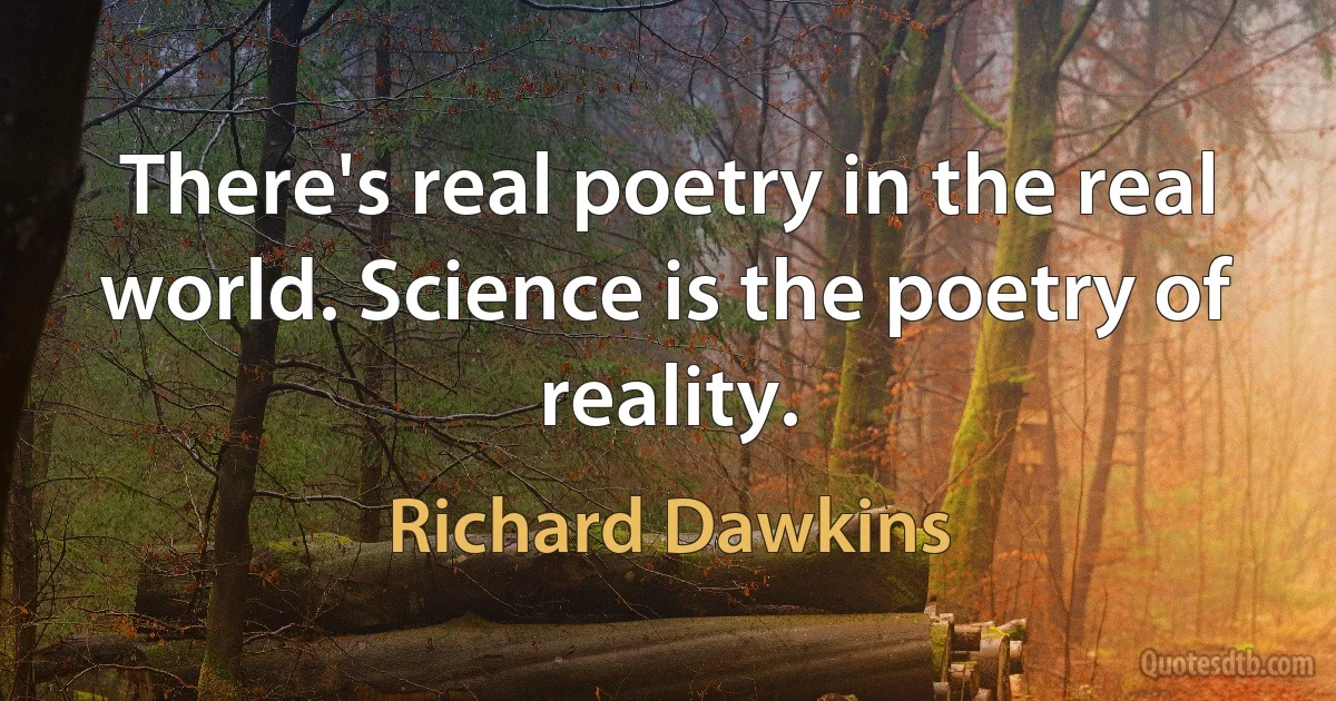 There's real poetry in the real world. Science is the poetry of reality. (Richard Dawkins)