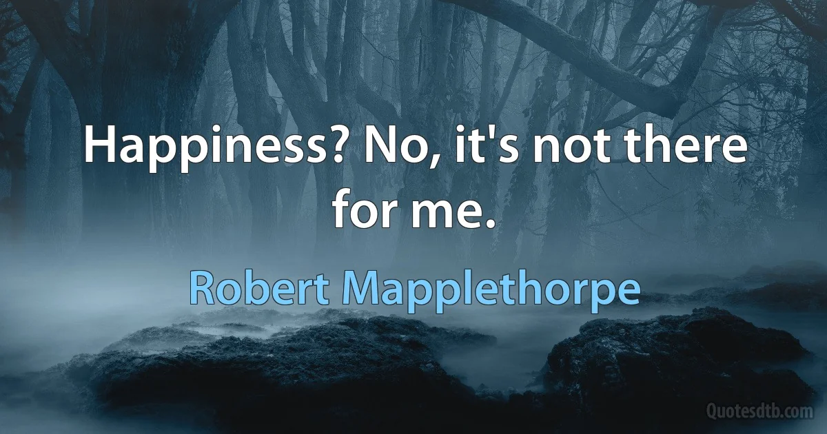 Happiness? No, it's not there for me. (Robert Mapplethorpe)