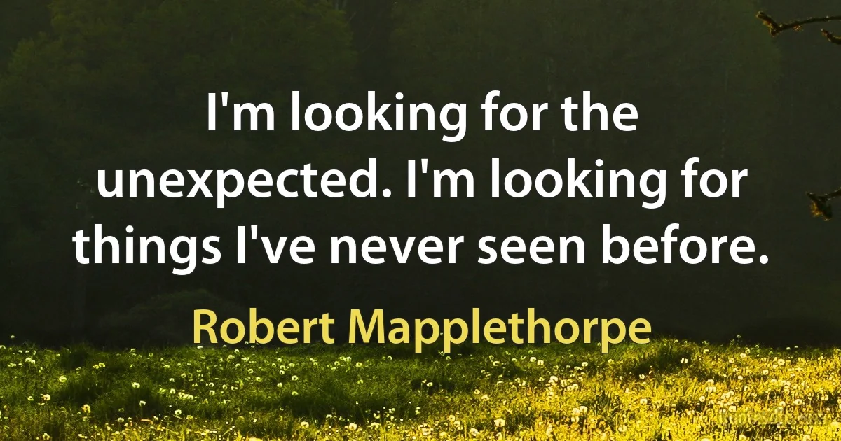 I'm looking for the unexpected. I'm looking for things I've never seen before. (Robert Mapplethorpe)