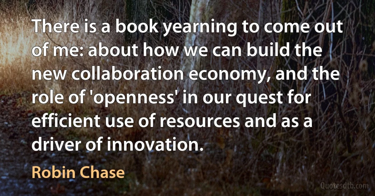 There is a book yearning to come out of me: about how we can build the new collaboration economy, and the role of 'openness' in our quest for efficient use of resources and as a driver of innovation. (Robin Chase)