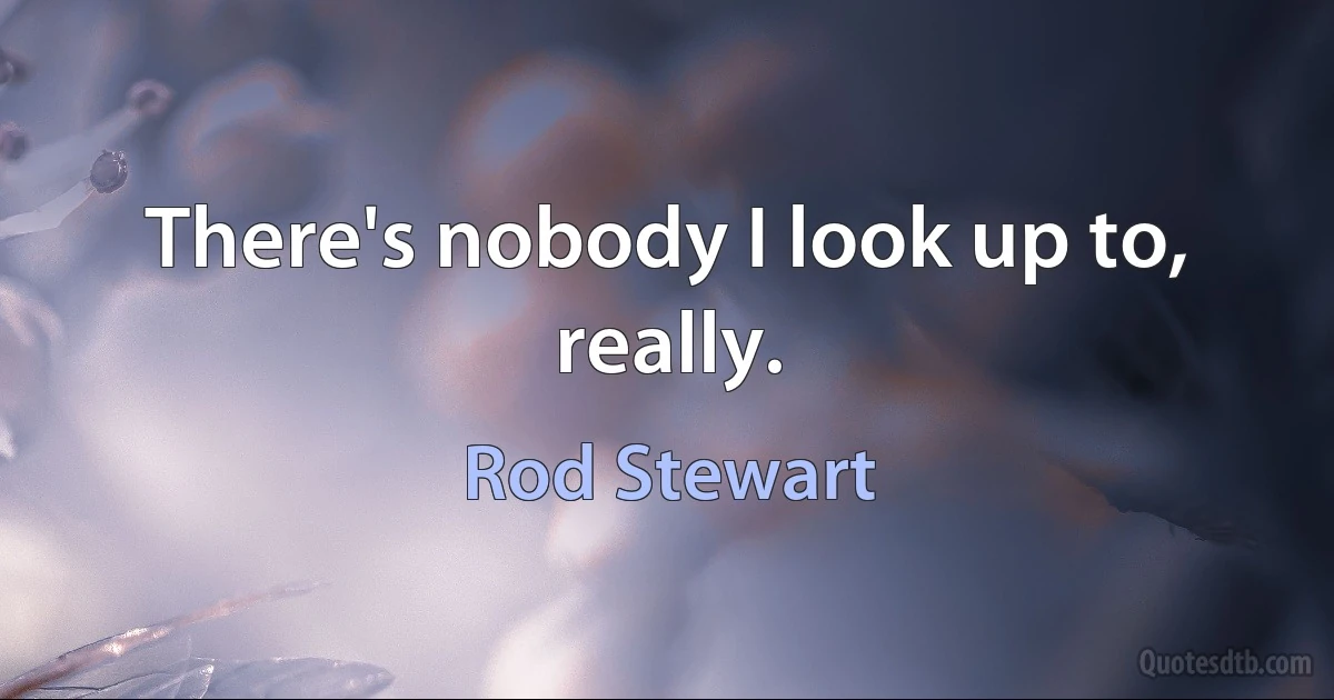 There's nobody I look up to, really. (Rod Stewart)