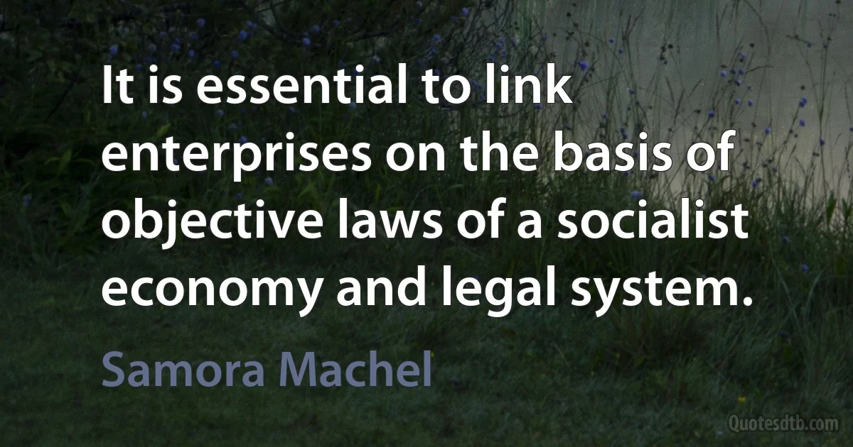 It is essential to link enterprises on the basis of objective laws of a socialist economy and legal system. (Samora Machel)