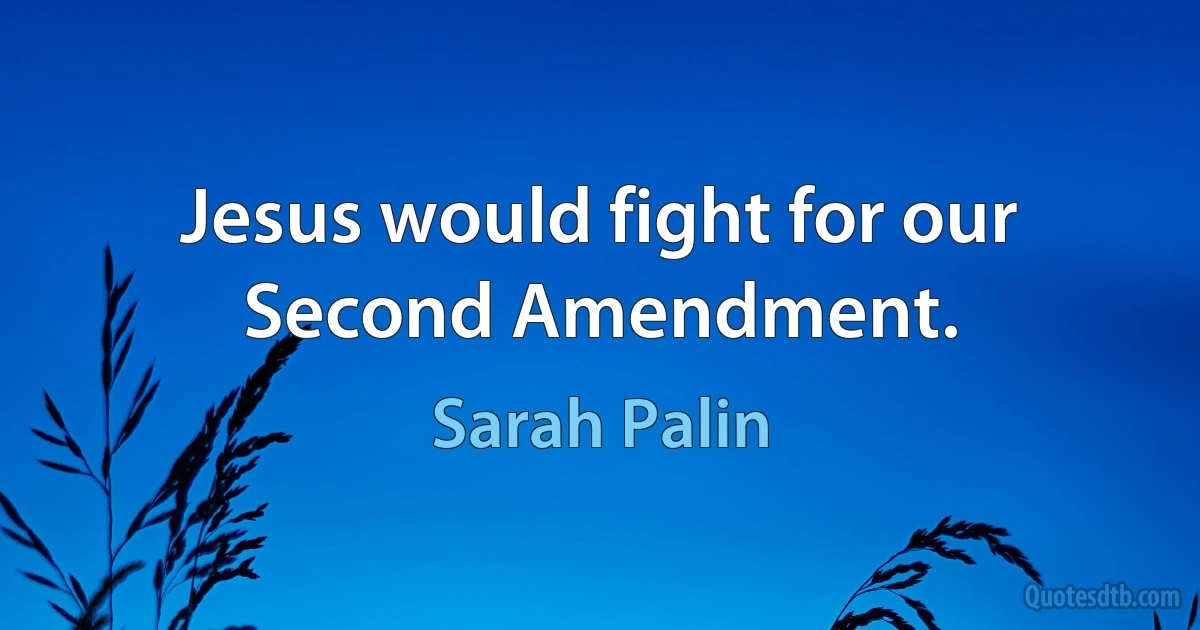 Jesus would fight for our Second Amendment. (Sarah Palin)