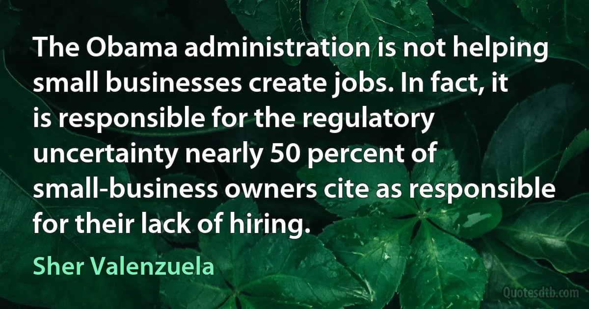 The Obama administration is not helping small businesses create jobs. In fact, it is responsible for the regulatory uncertainty nearly 50 percent of small-business owners cite as responsible for their lack of hiring. (Sher Valenzuela)