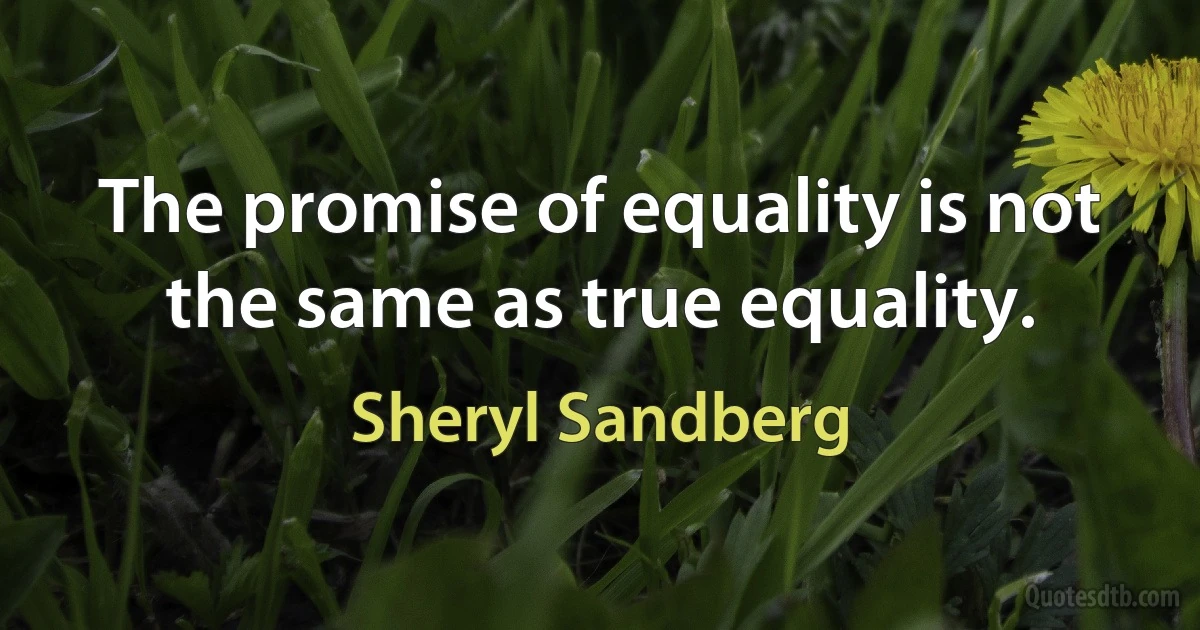 The promise of equality is not the same as true equality. (Sheryl Sandberg)