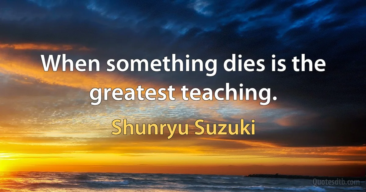 When something dies is the greatest teaching. (Shunryu Suzuki)