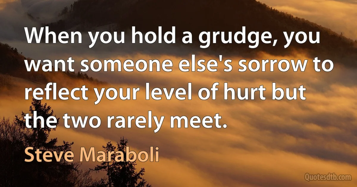 When you hold a grudge, you want someone else's sorrow to reflect your level of hurt but the two rarely meet. (Steve Maraboli)