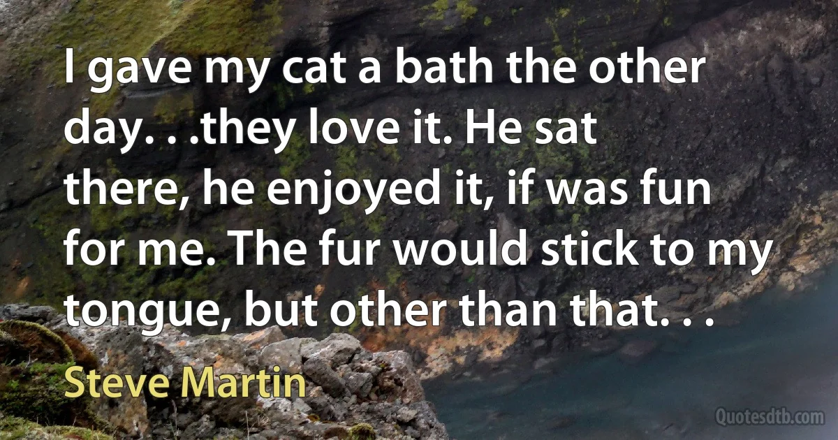 I gave my cat a bath the other day. . .they love it. He sat there, he enjoyed it, if was fun for me. The fur would stick to my tongue, but other than that. . . (Steve Martin)