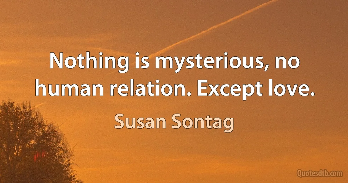 Nothing is mysterious, no human relation. Except love. (Susan Sontag)