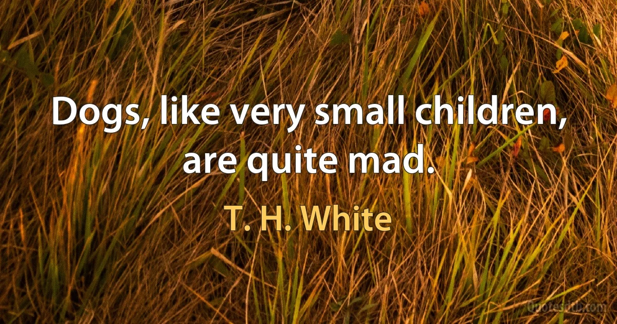 Dogs, like very small children, are quite mad. (T. H. White)