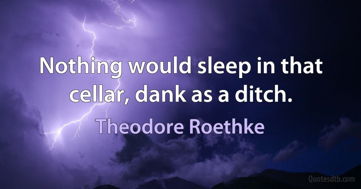 Nothing would sleep in that cellar, dank as a ditch. (Theodore Roethke)