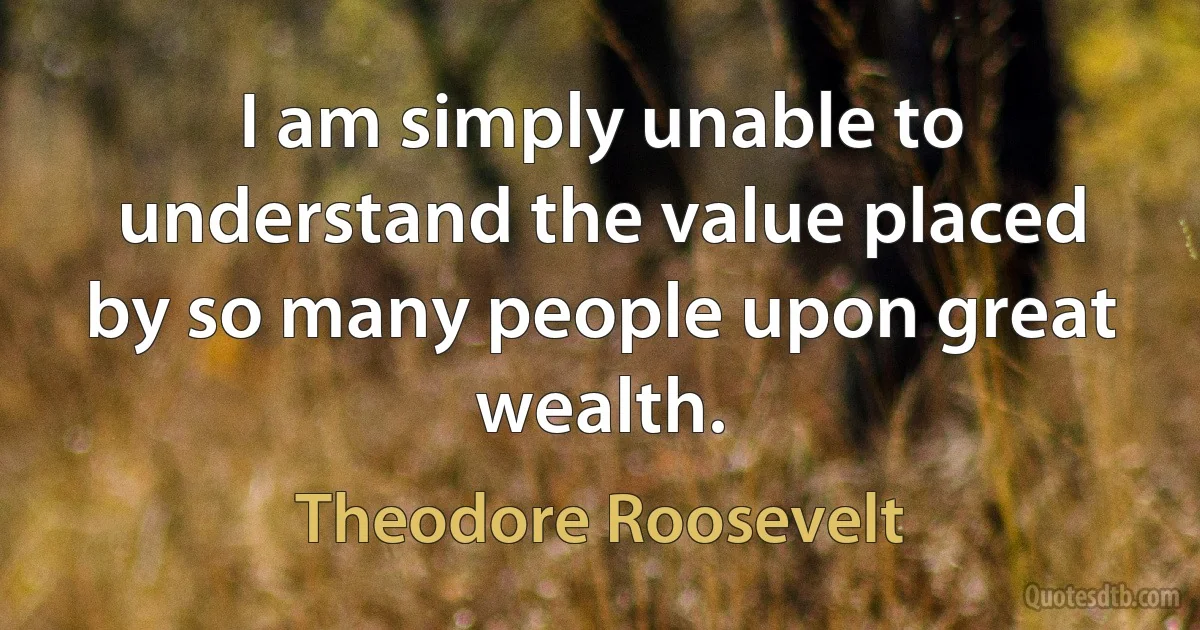 I am simply unable to understand the value placed by so many people upon great wealth. (Theodore Roosevelt)