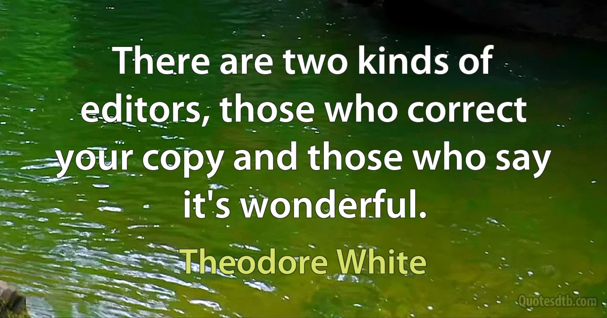 There are two kinds of editors, those who correct your copy and those who say it's wonderful. (Theodore White)