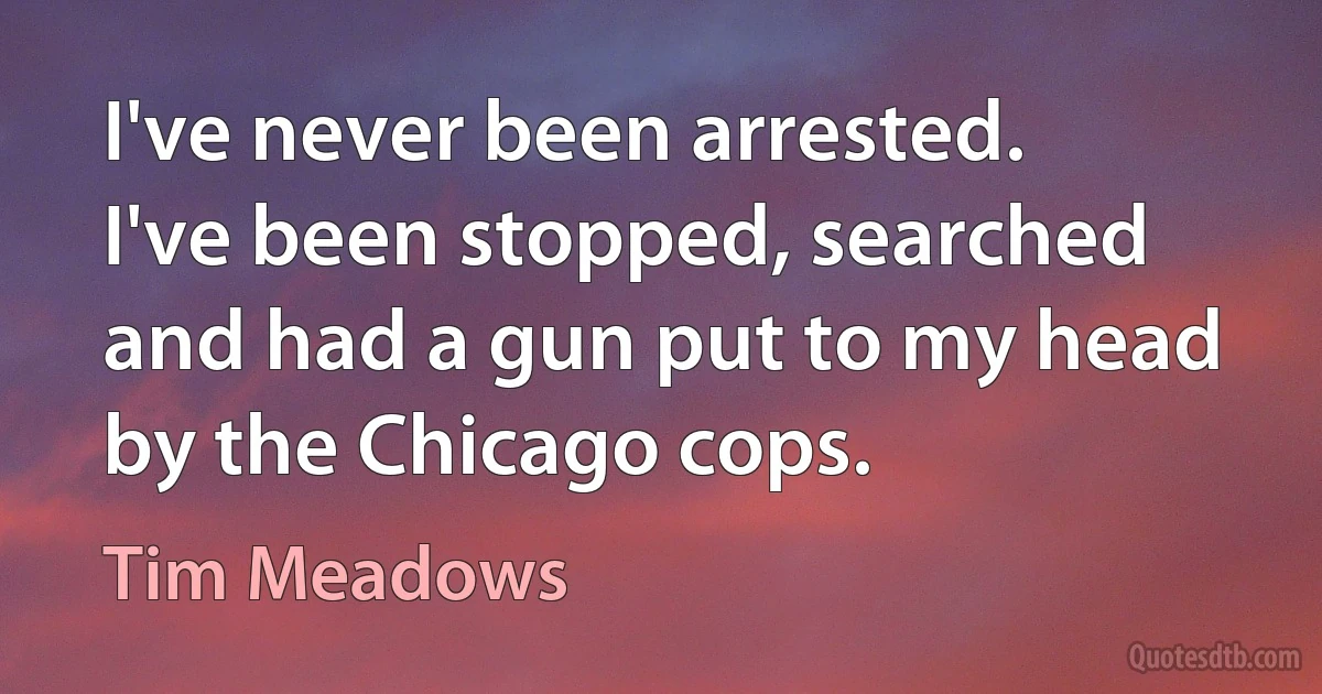 I've never been arrested. I've been stopped, searched and had a gun put to my head by the Chicago cops. (Tim Meadows)