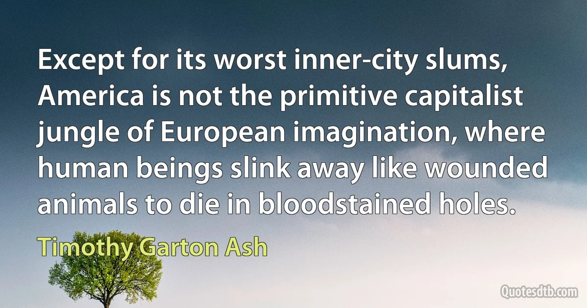 Except for its worst inner-city slums, America is not the primitive capitalist jungle of European imagination, where human beings slink away like wounded animals to die in bloodstained holes. (Timothy Garton Ash)