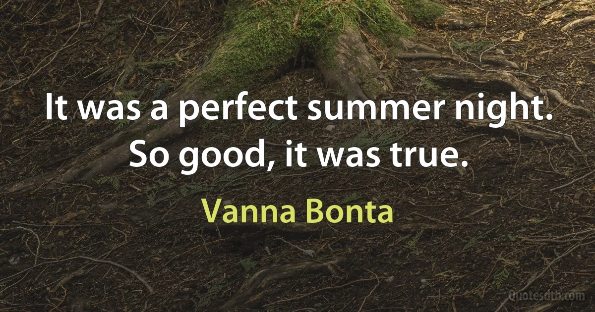 It was a perfect summer night. So good, it was true. (Vanna Bonta)