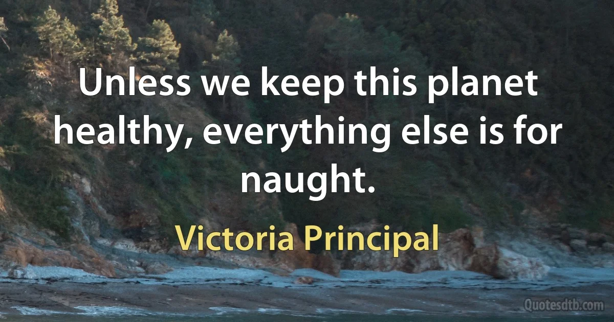 Unless we keep this planet healthy, everything else is for naught. (Victoria Principal)