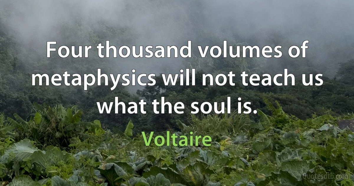 Four thousand volumes of metaphysics will not teach us what the soul is. (Voltaire)