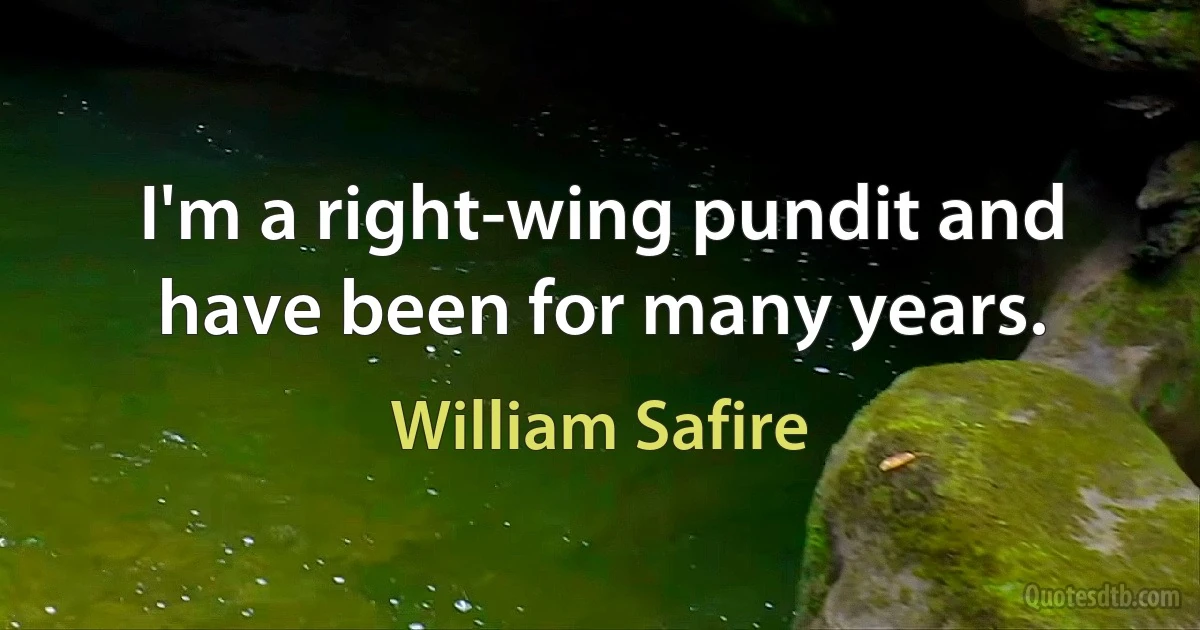 I'm a right-wing pundit and have been for many years. (William Safire)