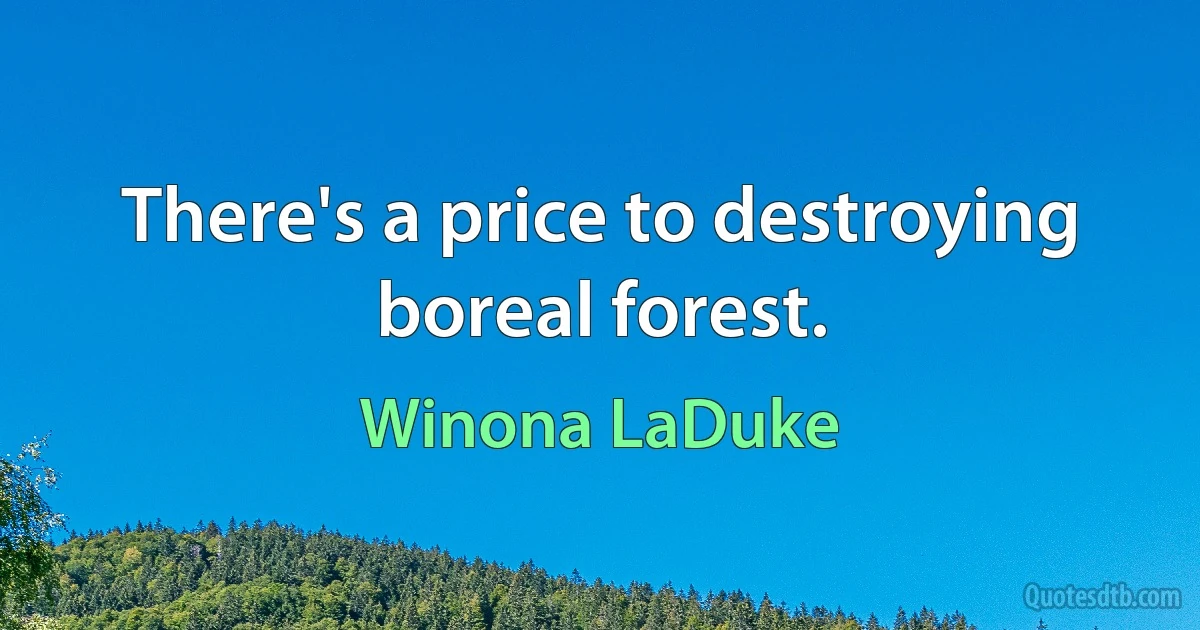 There's a price to destroying boreal forest. (Winona LaDuke)