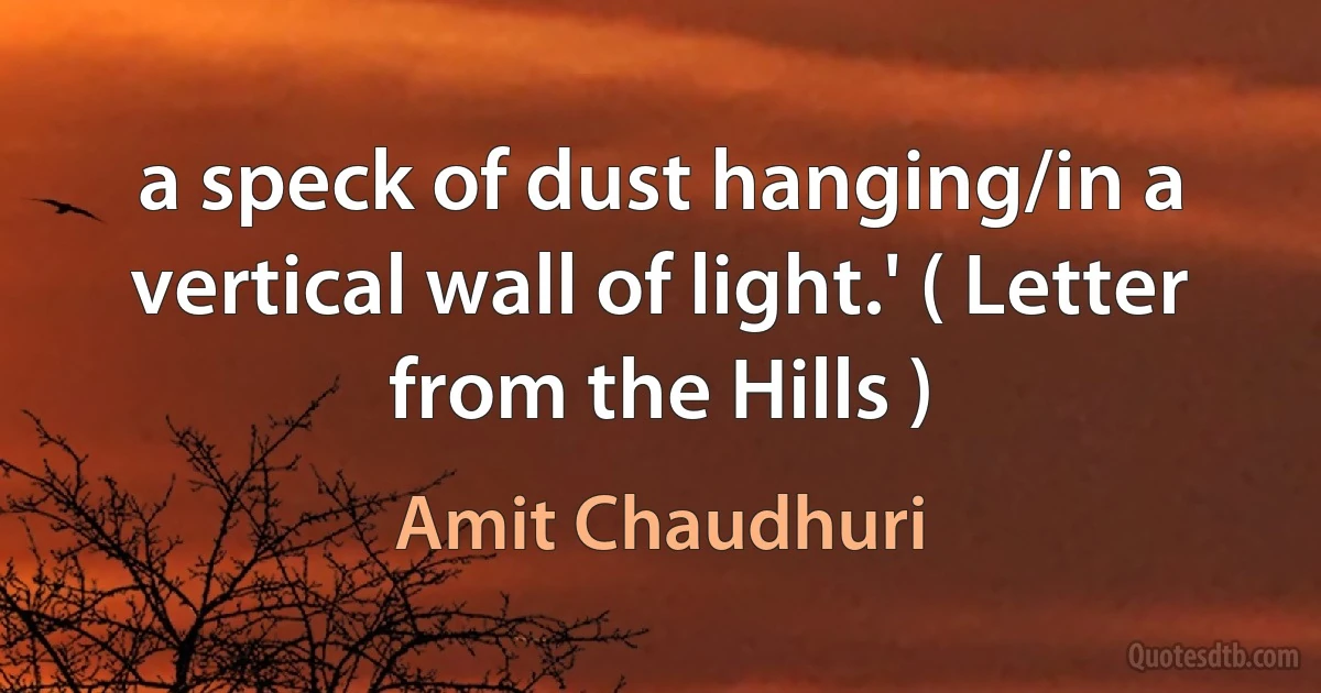 a speck of dust hanging/in a vertical wall of light.' ( Letter from the Hills ) (Amit Chaudhuri)