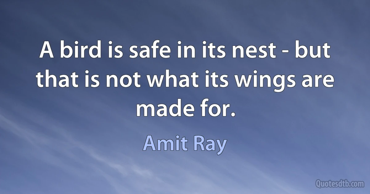 A bird is safe in its nest - but that is not what its wings are made for. (Amit Ray)