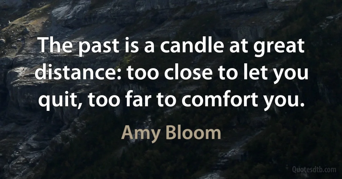 The past is a candle at great distance: too close to let you quit, too far to comfort you. (Amy Bloom)