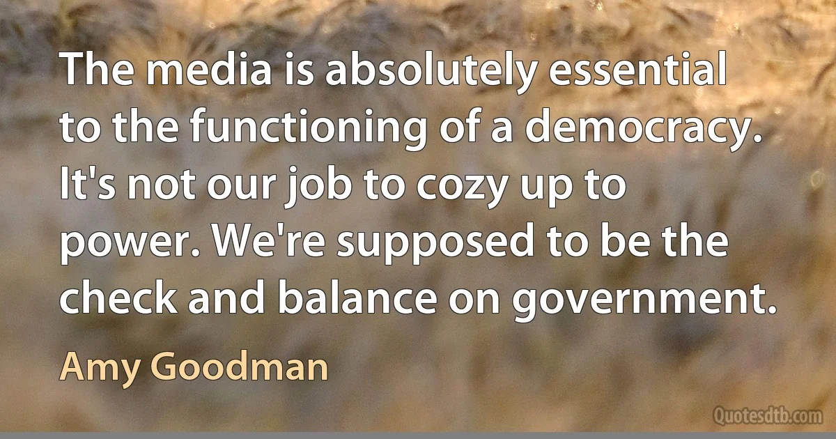 The media is absolutely essential to the functioning of a democracy. It's not our job to cozy up to power. We're supposed to be the check and balance on government. (Amy Goodman)