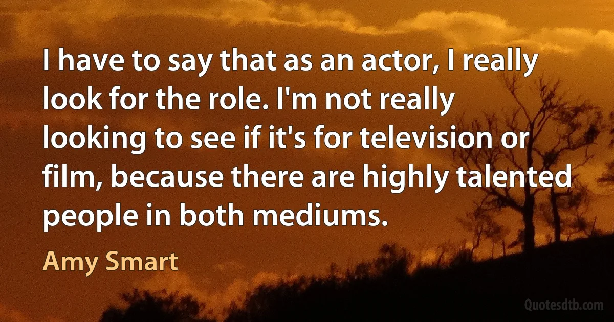 I have to say that as an actor, I really look for the role. I'm not really looking to see if it's for television or film, because there are highly talented people in both mediums. (Amy Smart)