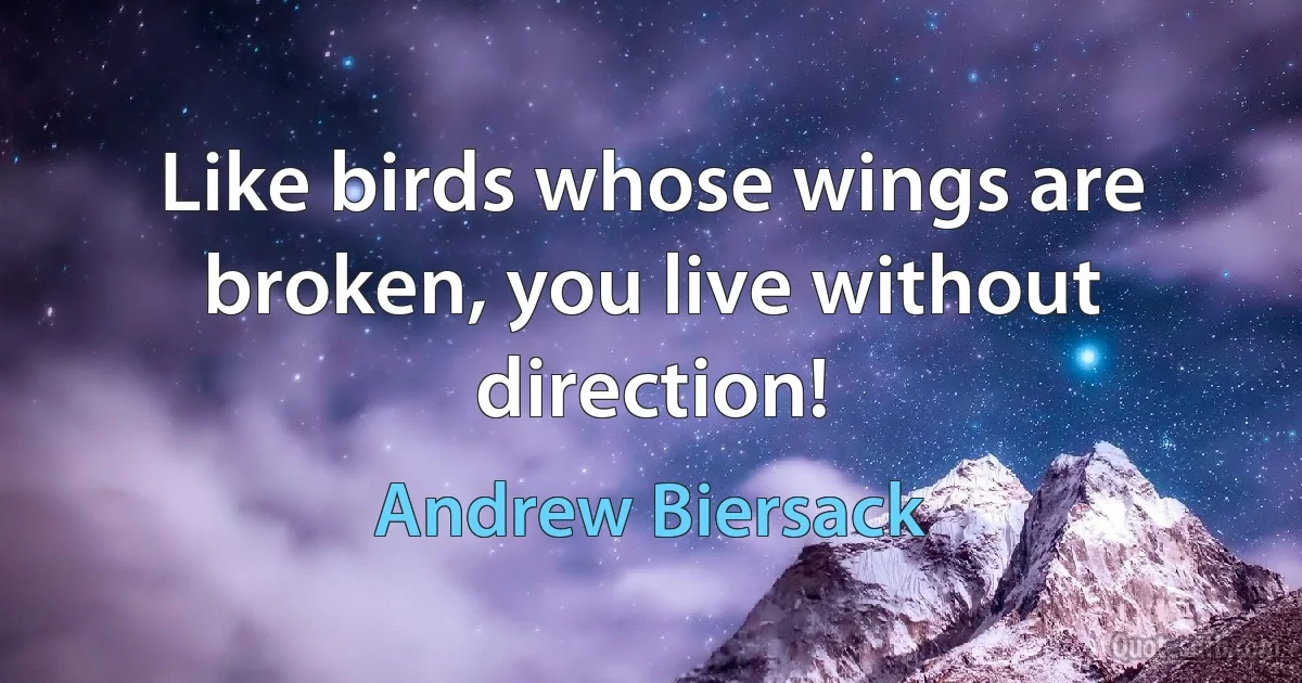 Like birds whose wings are broken, you live without direction! (Andrew Biersack)