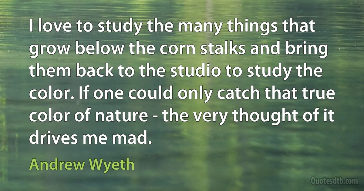 I love to study the many things that grow below the corn stalks and bring them back to the studio to study the color. If one could only catch that true color of nature - the very thought of it drives me mad. (Andrew Wyeth)