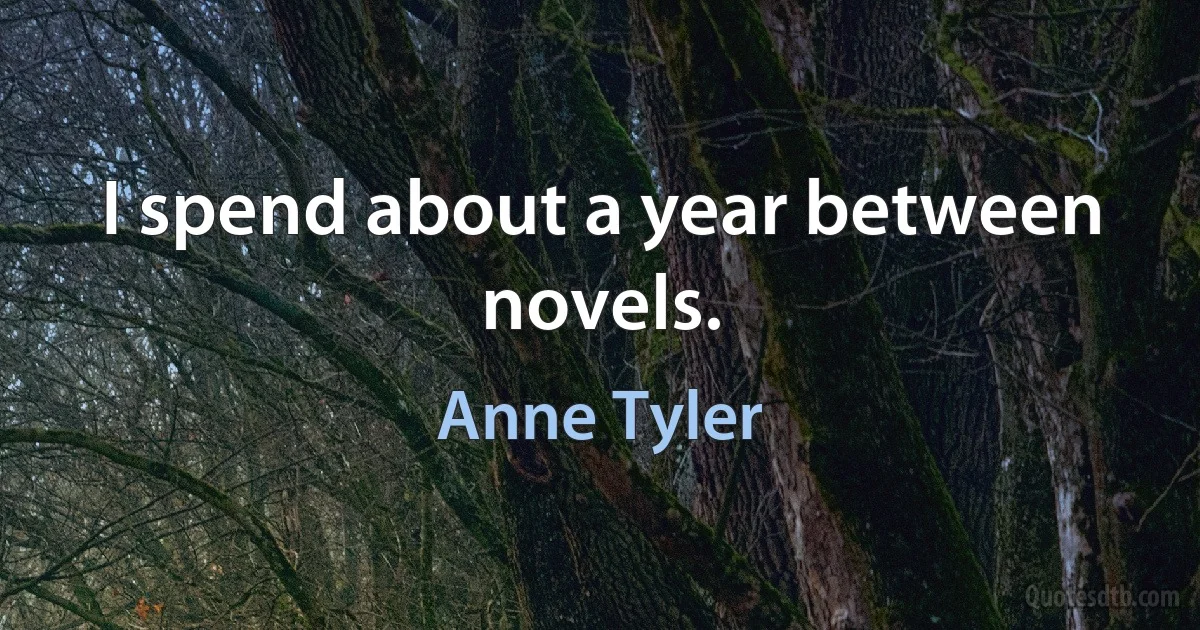 I spend about a year between novels. (Anne Tyler)