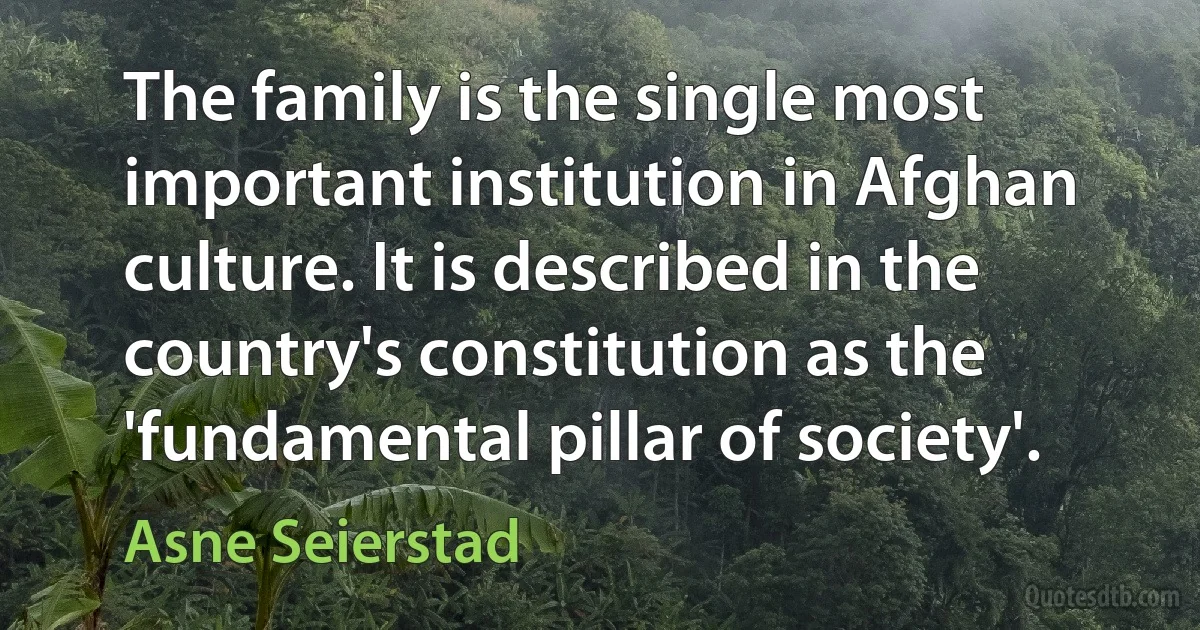 The family is the single most important institution in Afghan culture. It is described in the country's constitution as the 'fundamental pillar of society'. (Asne Seierstad)