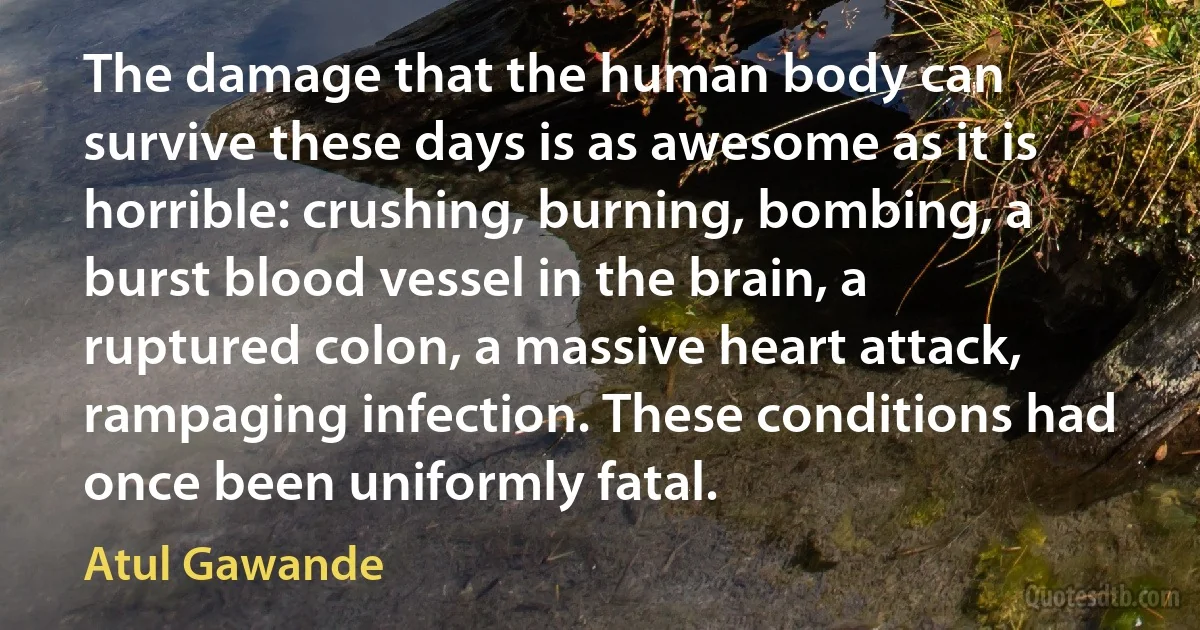 The damage that the human body can survive these days is as awesome as it is horrible: crushing, burning, bombing, a burst blood vessel in the brain, a ruptured colon, a massive heart attack, rampaging infection. These conditions had once been uniformly fatal. (Atul Gawande)