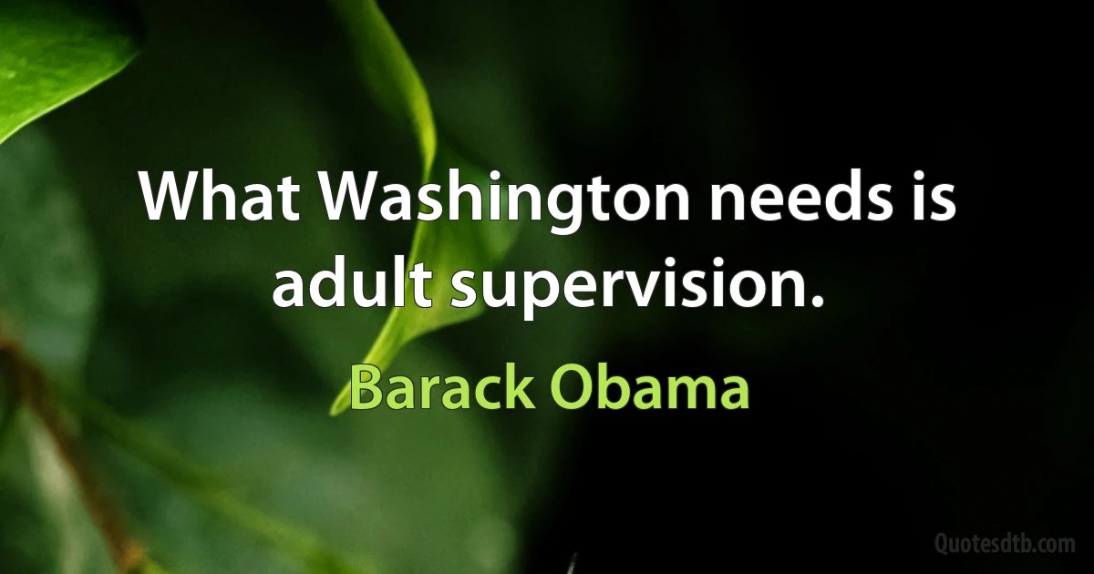 What Washington needs is adult supervision. (Barack Obama)