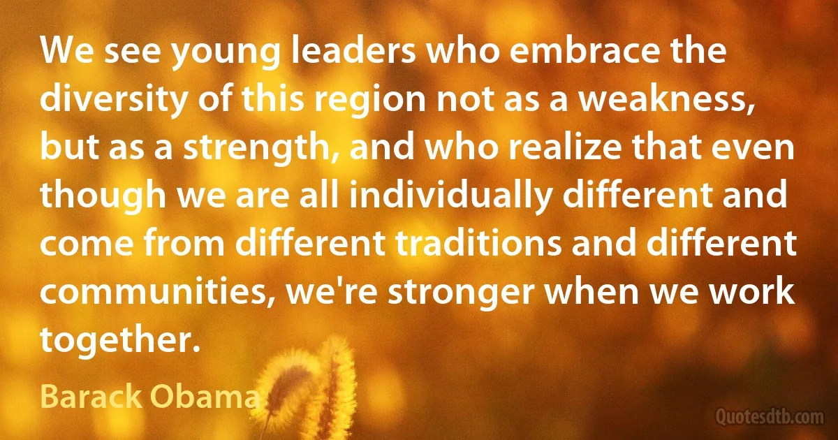 We see young leaders who embrace the diversity of this region not as a weakness, but as a strength, and who realize that even though we are all individually different and come from different traditions and different communities, we're stronger when we work together. (Barack Obama)