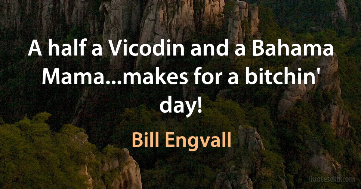 A half a Vicodin and a Bahama Mama...makes for a bitchin' day! (Bill Engvall)