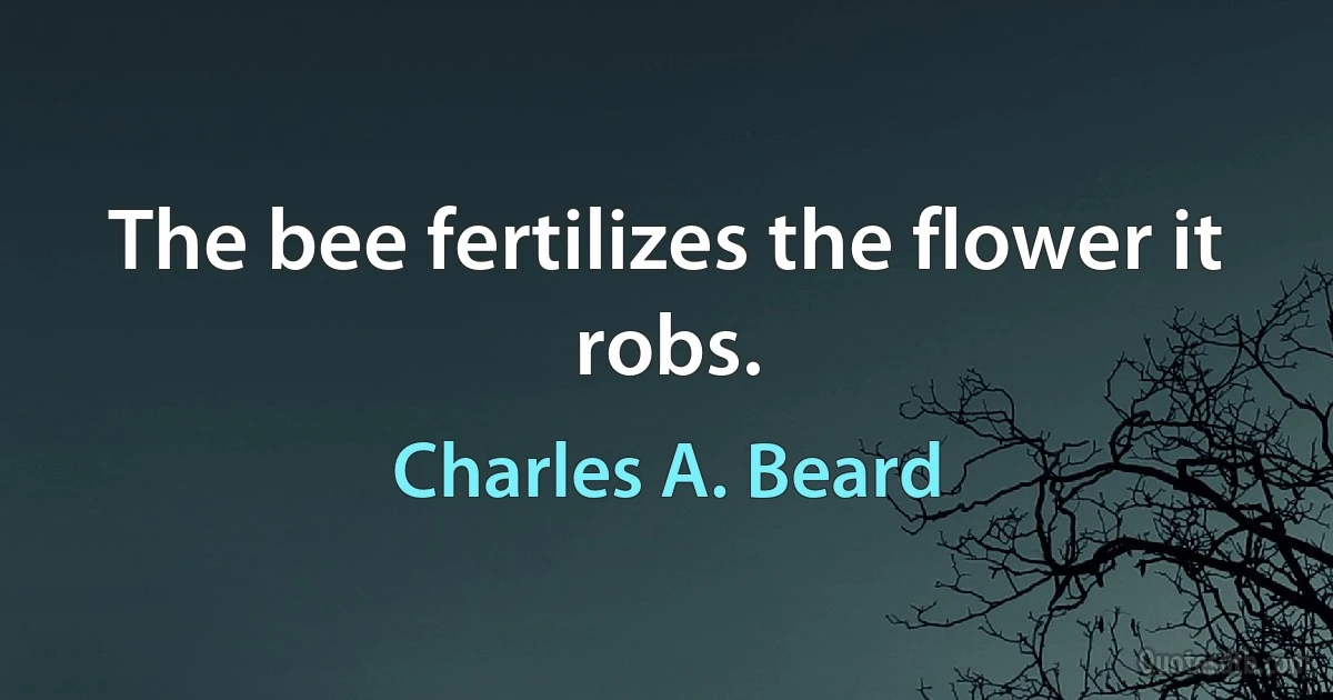 The bee fertilizes the flower it robs. (Charles A. Beard)