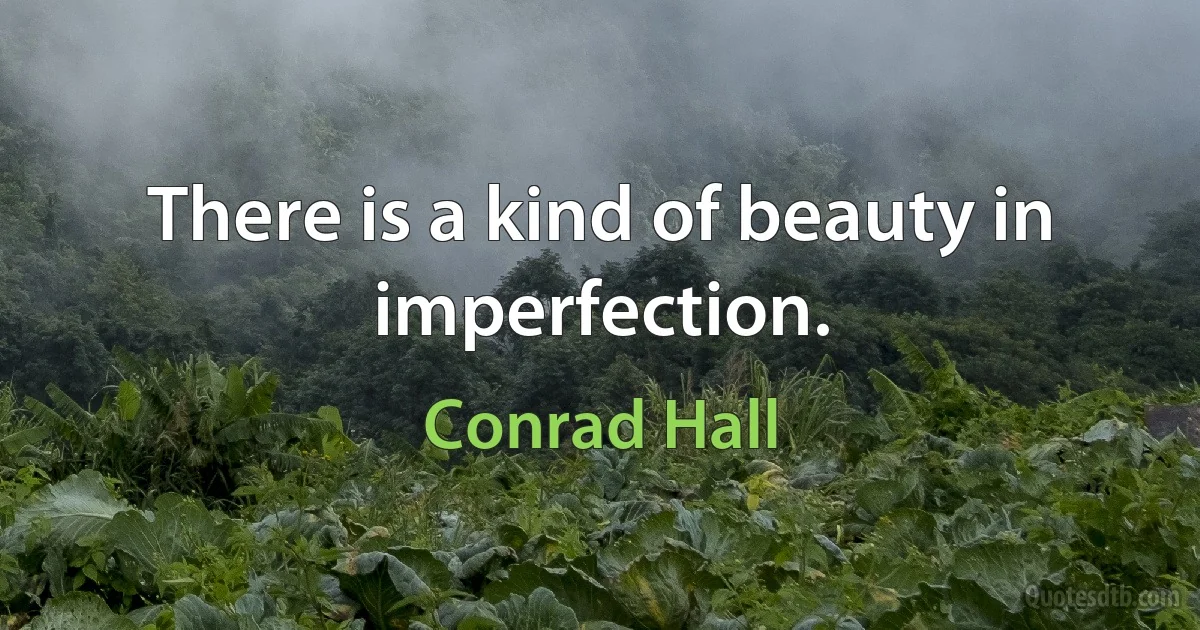 There is a kind of beauty in imperfection. (Conrad Hall)