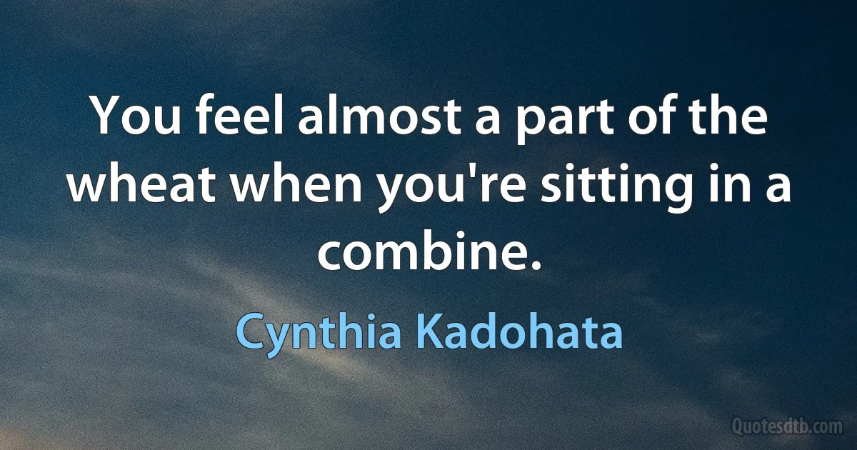 You feel almost a part of the wheat when you're sitting in a combine. (Cynthia Kadohata)