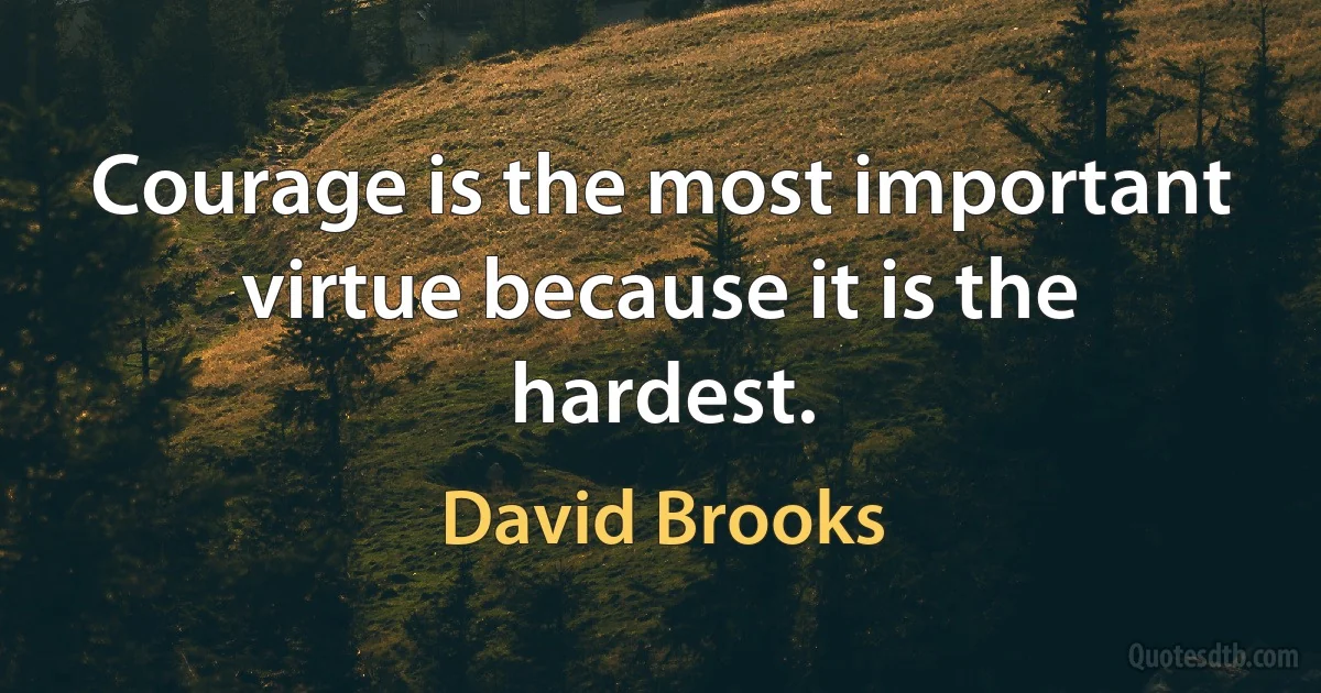 Courage is the most important virtue because it is the hardest. (David Brooks)