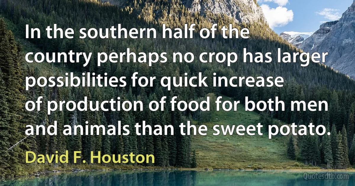 In the southern half of the country perhaps no crop has larger possibilities for quick increase of production of food for both men and animals than the sweet potato. (David F. Houston)