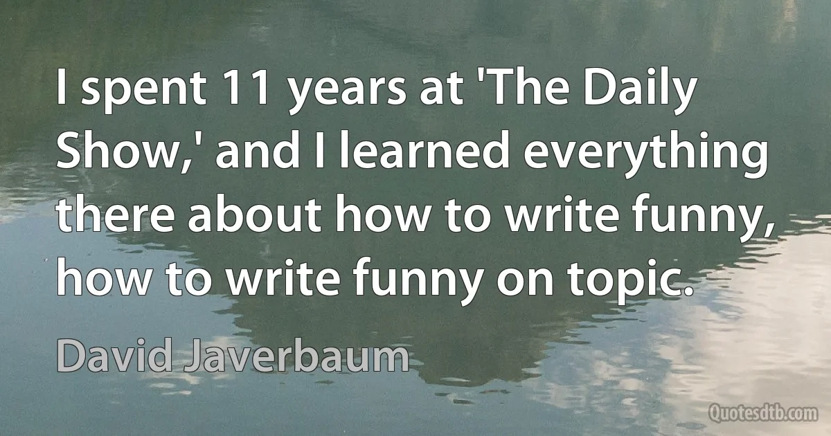 I spent 11 years at 'The Daily Show,' and I learned everything there about how to write funny, how to write funny on topic. (David Javerbaum)