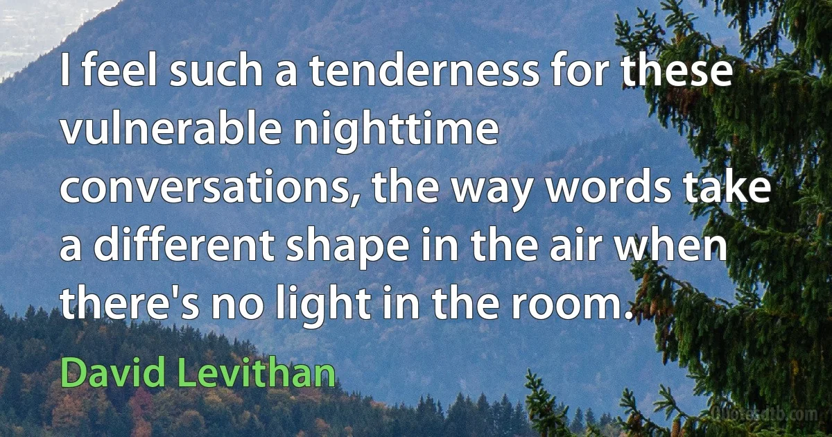 I feel such a tenderness for these vulnerable nighttime conversations, the way words take a different shape in the air when there's no light in the room. (David Levithan)