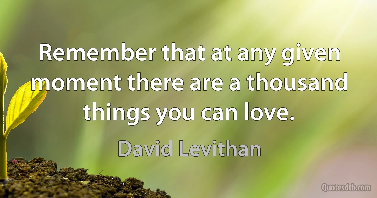 Remember that at any given moment there are a thousand things you can love. (David Levithan)