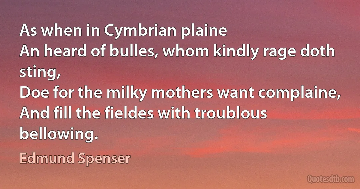 As when in Cymbrian plaine
An heard of bulles, whom kindly rage doth sting,
Doe for the milky mothers want complaine,
And fill the fieldes with troublous bellowing. (Edmund Spenser)